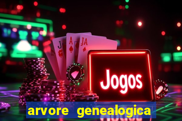 arvore genealogica dos gracie